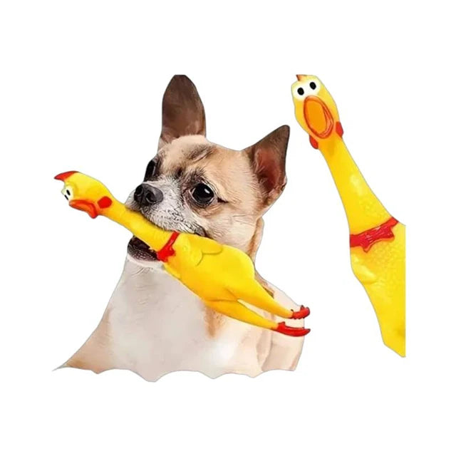 POLLO TALLA M