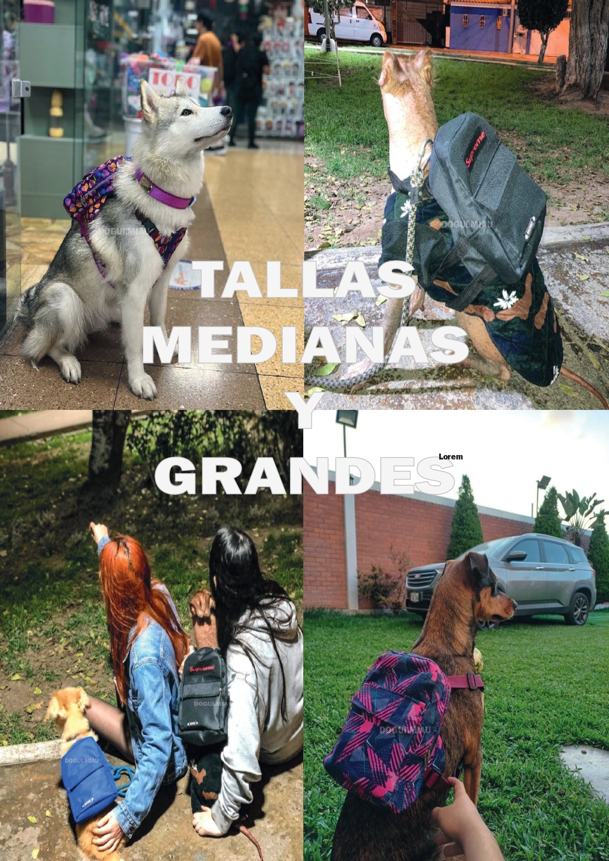 MOCHILAS PECHERAS