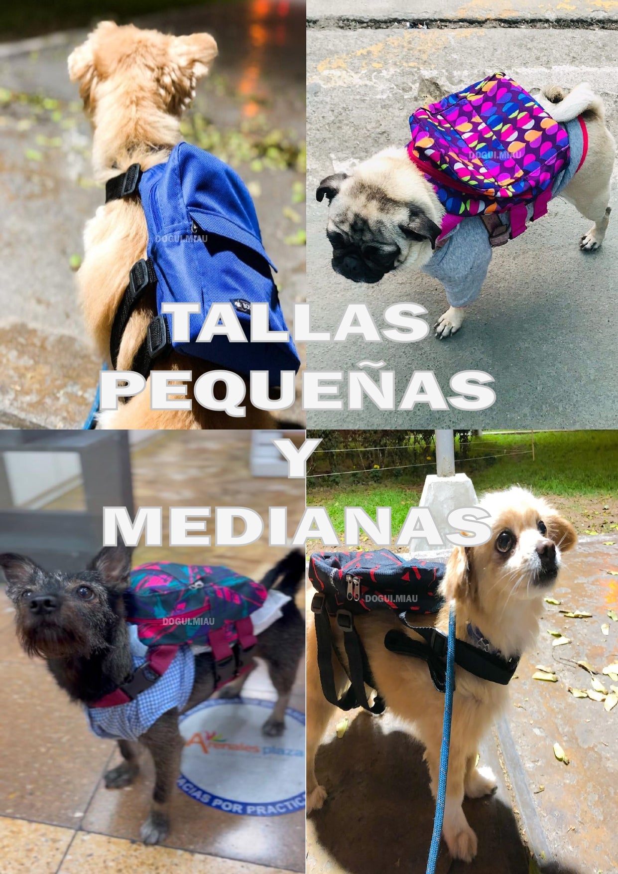 MOCHILAS PECHERAS