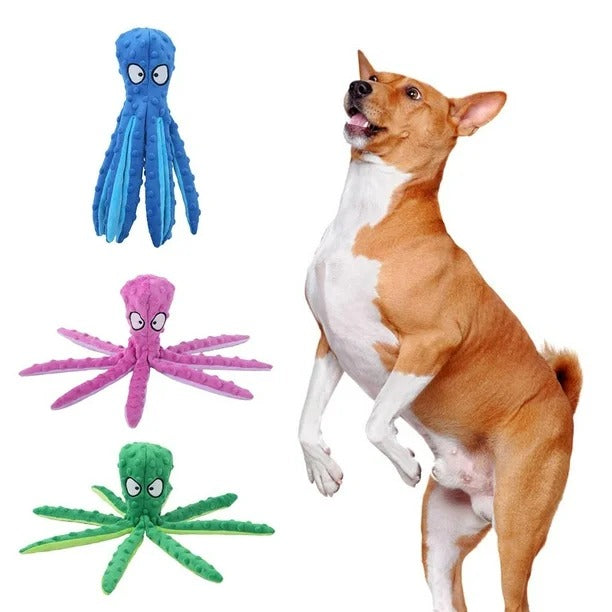 DOGUI PULPO