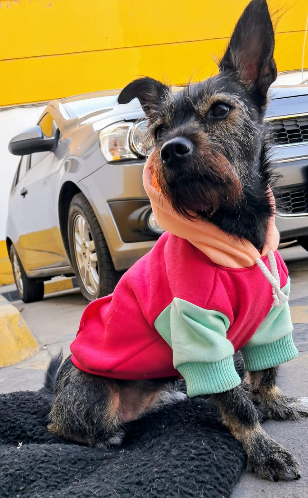 POLERAS AESTHETIC