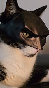 CAT-MAN