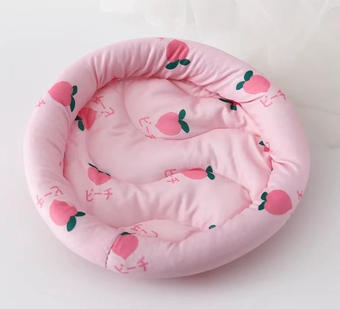 CAMA HAMSTER