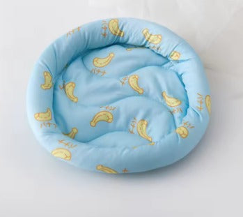 CAMA HAMSTER