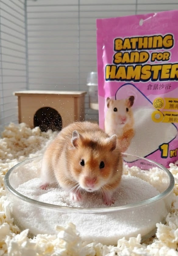 ARENA DE BAÑO PREMIUN HÁMSTER