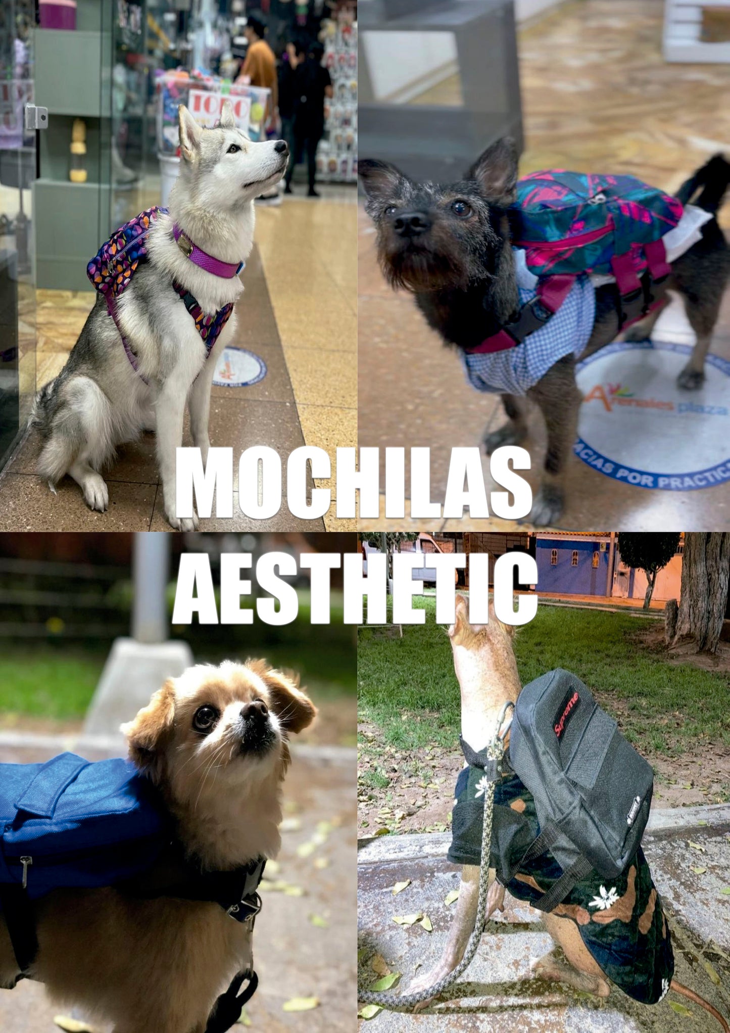 MOCHILAS PECHERAS
