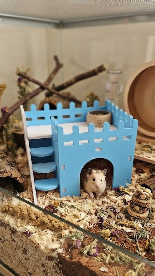 CASA/CASTILLO FORTALEZA PARA HAMSTER