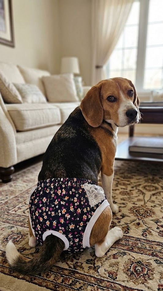 CALZONES PARA MASCOTAS