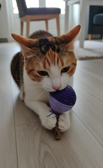 PELOTA MATATABI