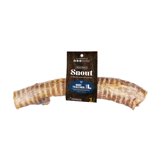 SNOUT TRAQUEA DE RES DESHIDRATADA TALLA L