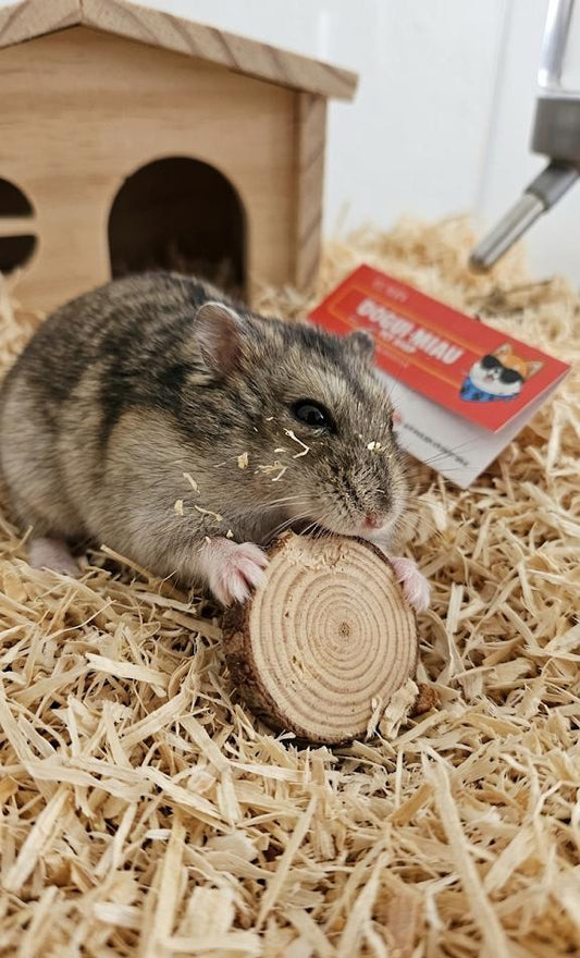 MADERA COMESTIBLE PARA ROEDORES