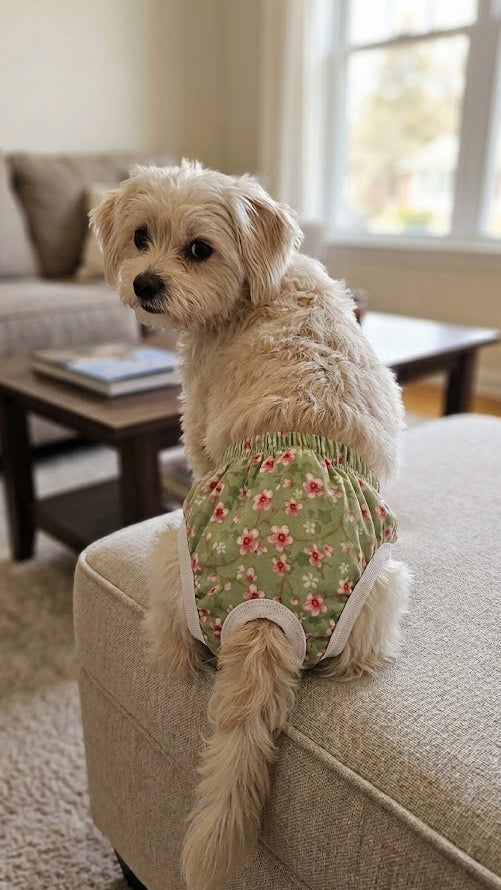 CALZONES PARA MASCOTAS