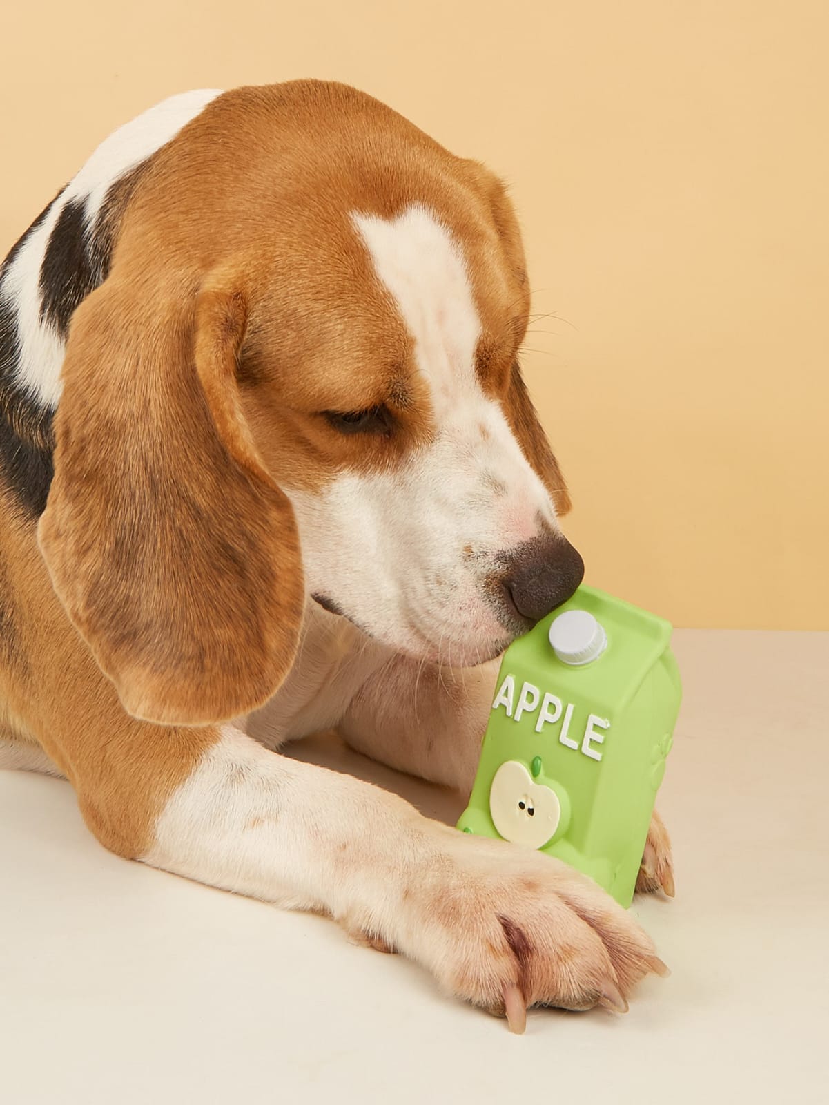 JUGO DE MANZANA RECHINABLE