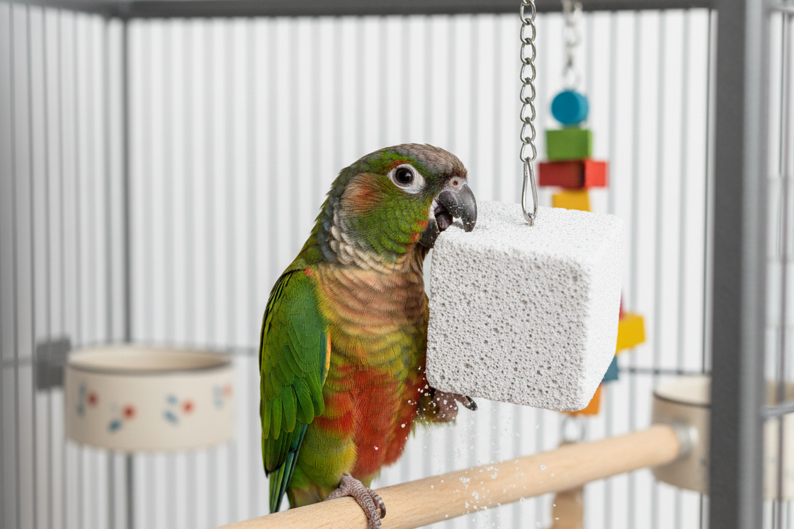 PIEDRA VOLCANICA PARA LOROS Y ROEDORES