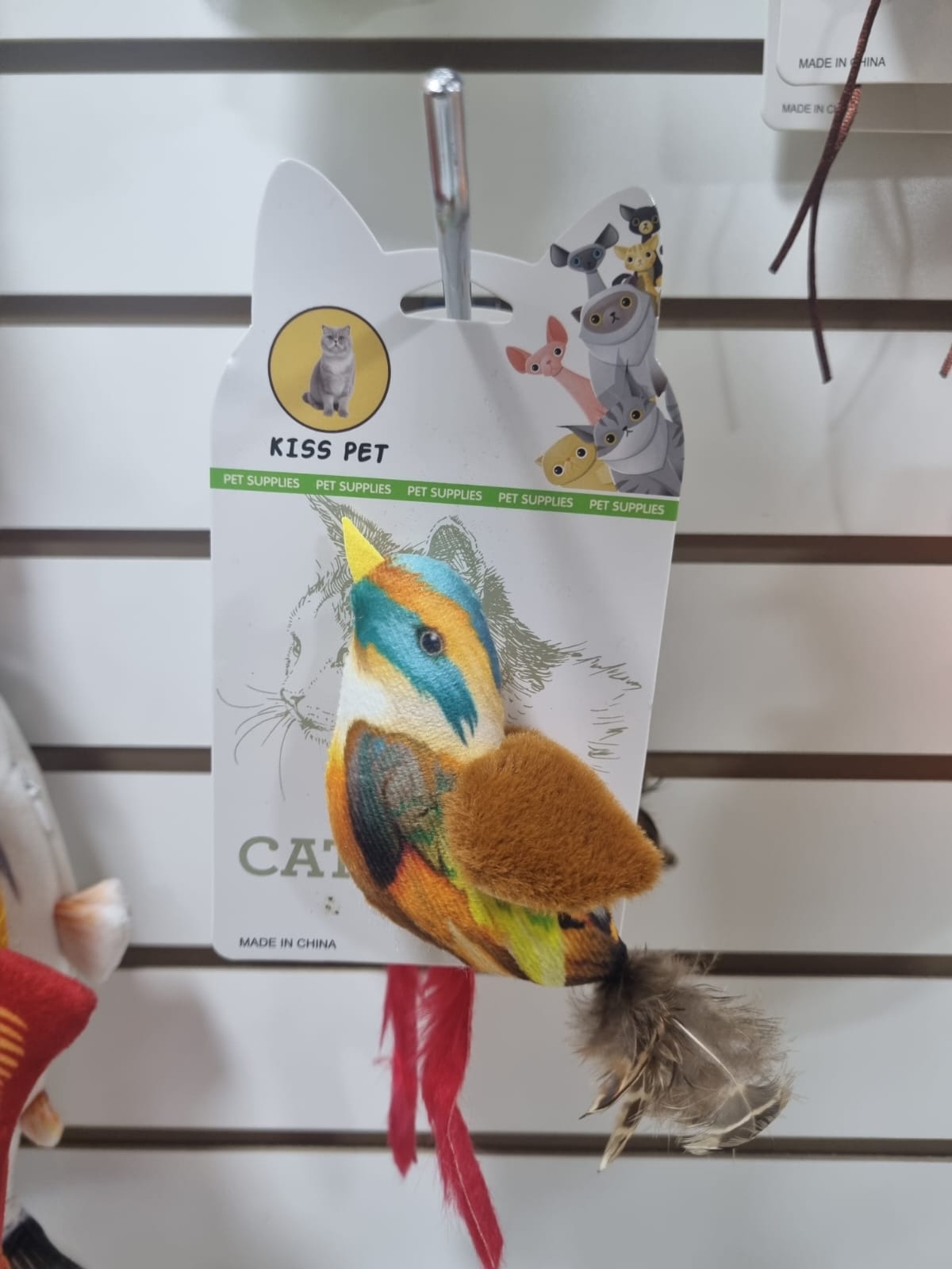 PÁJARO CANTOR