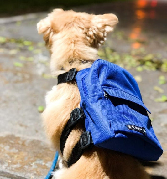 MOCHILAS PECHERAS