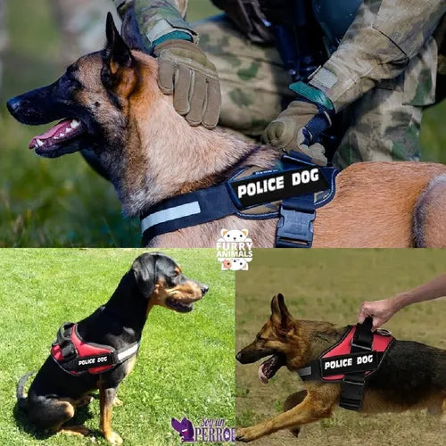PECHERA POLICE K9