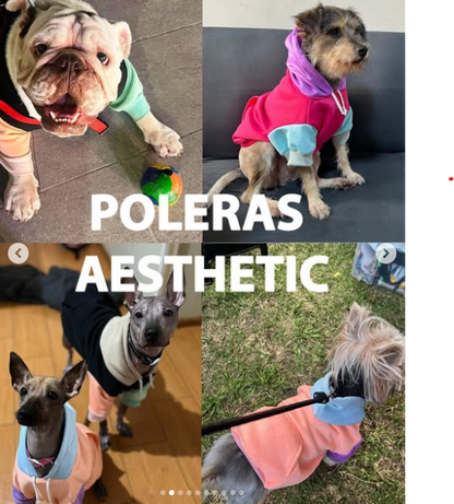 POLERAS AESTHETIC