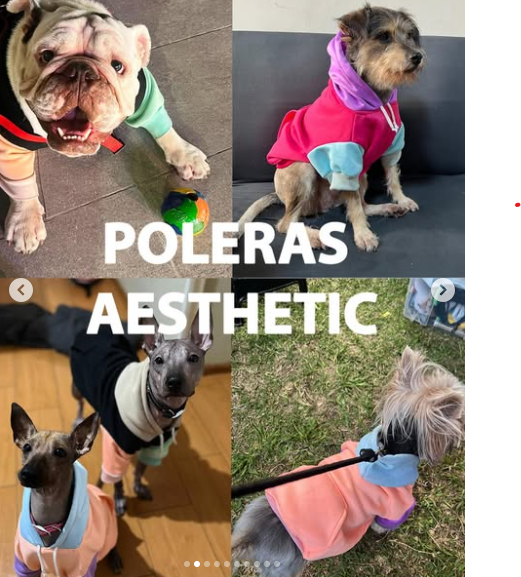 POLERAS AESTHETIC