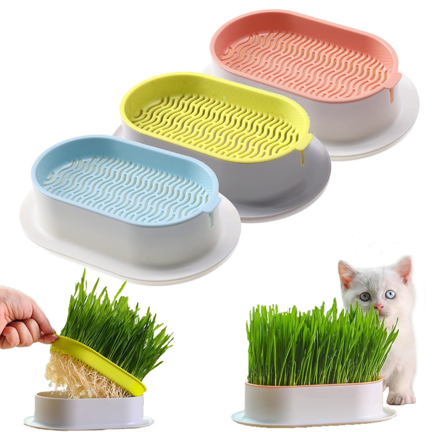 Planta hidropónica comestible para gatos