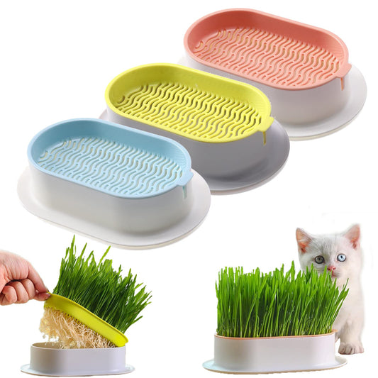 Planta hidropónica comestible para gatos