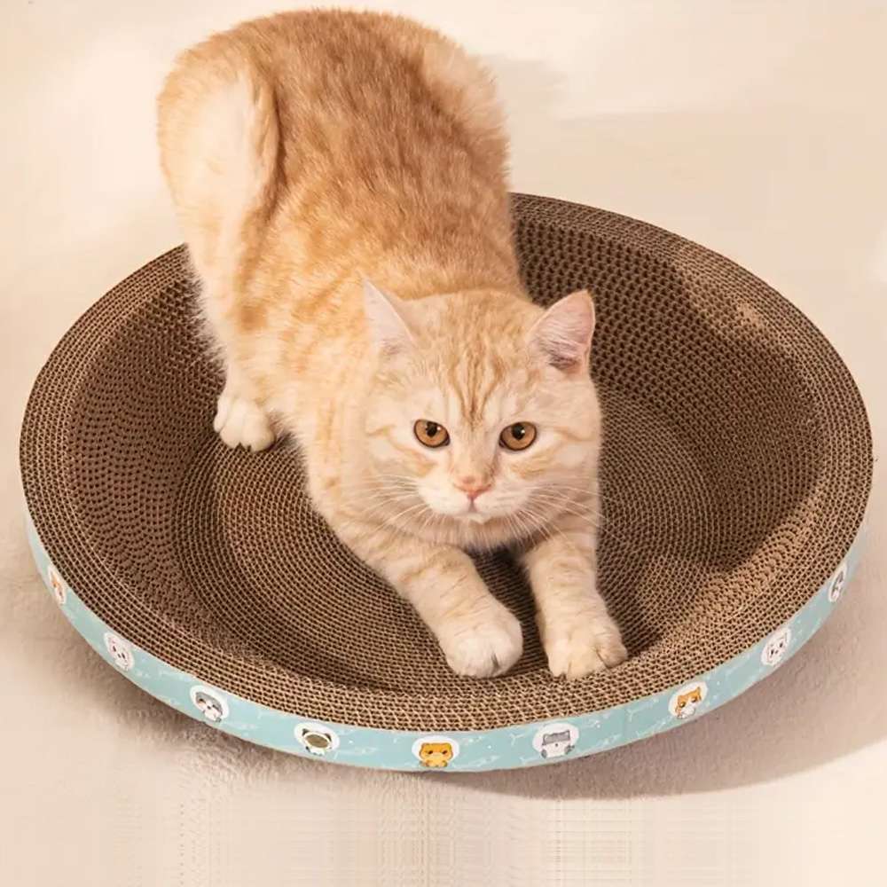 RASCADOR CIRCULAR PARA GATO