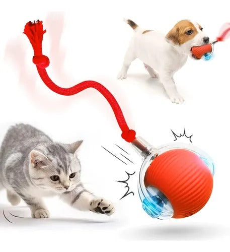PELOTA INTERACTIVA PARA GATOS Y PERROS