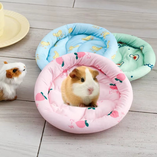 CAMA HAMSTER