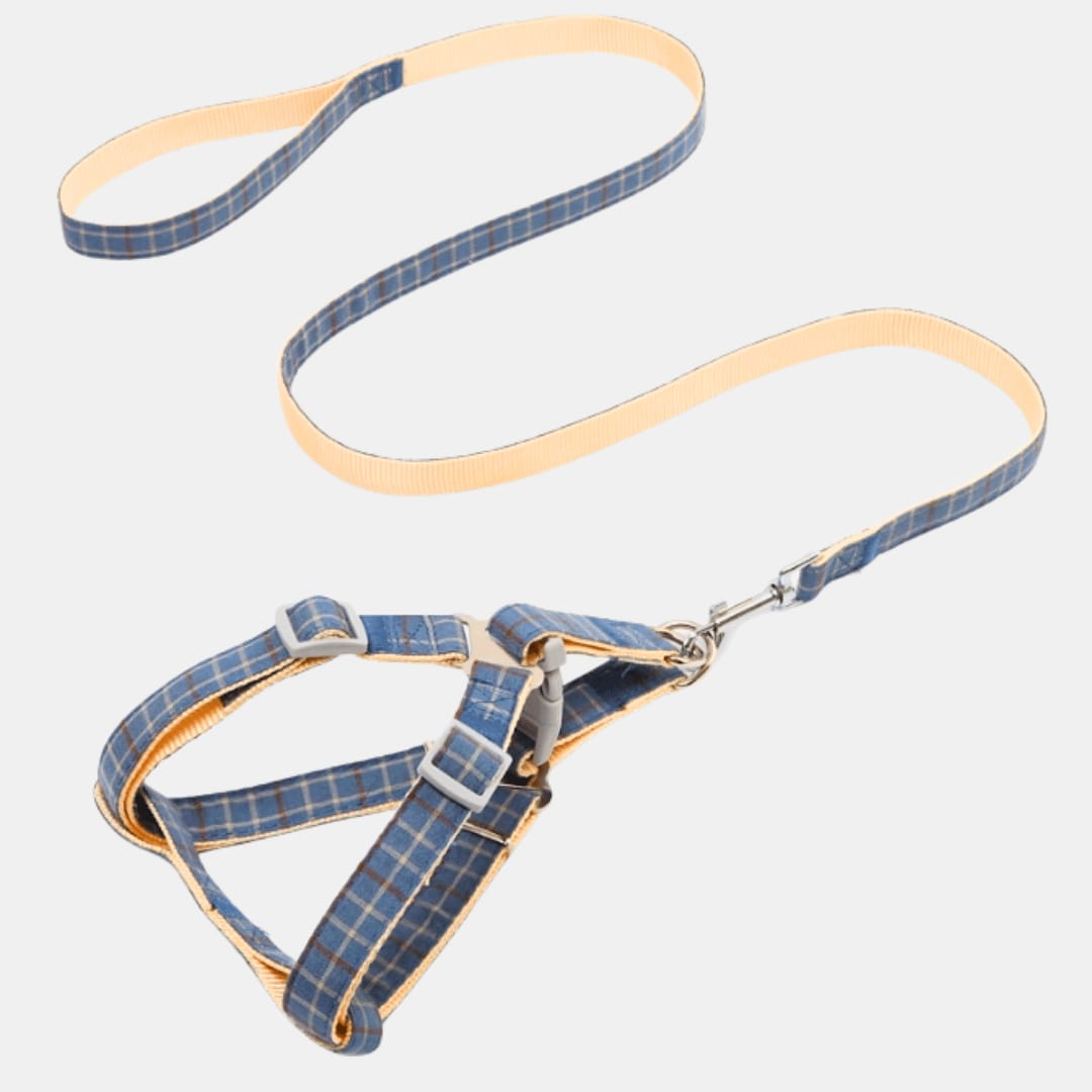 ARNÉS CON CORREA AJUSTABLE PASTELES