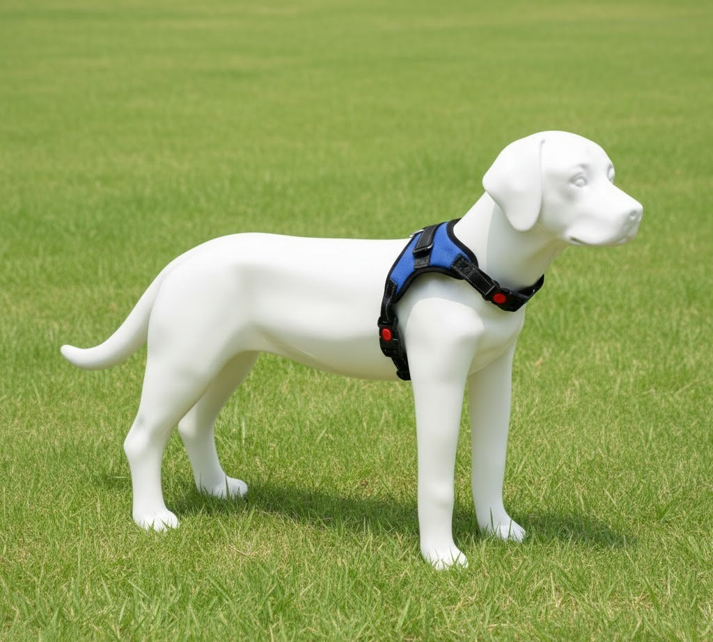 PECHERA PERRITO
