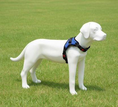 PECHERA PERRITO