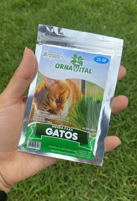 HIERBA PARA GATOS