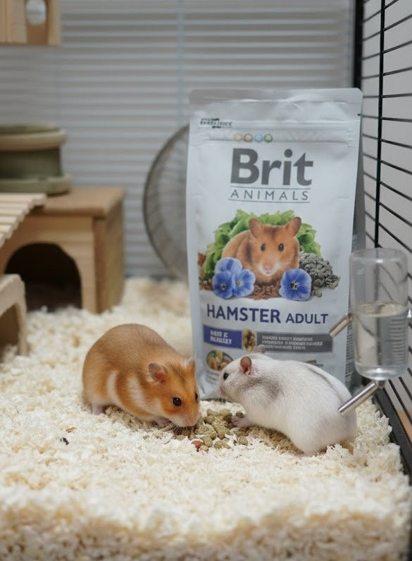 ALIMENTO PREMIUN HAMSTER