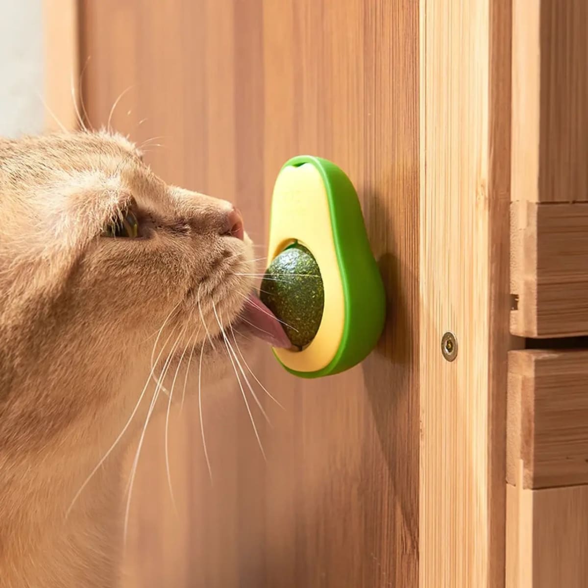 JUGUETE CATNIP PALTA CON TAPA