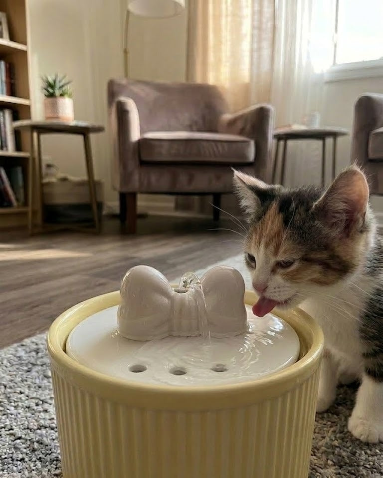 BEBEDERO CERÁMICA CUTE