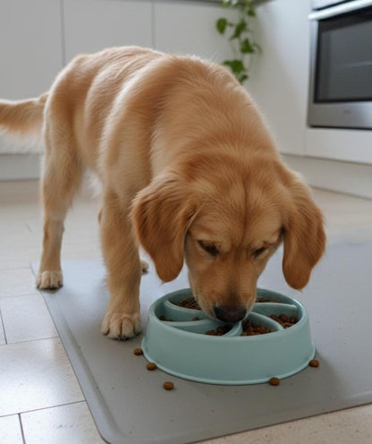 PLATO ANTI ANSIEDAD