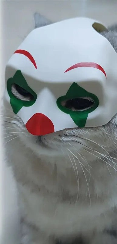 JOKER-CAT