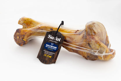 SNOUT HUESO DE RES DESHIDRATADO