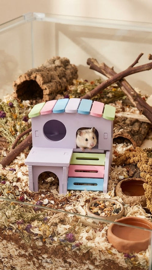 CASA DE 2 NIVELES PARA HAMSTER